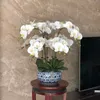 Große künstliche Orchideen, PU, fühlt sich echt an, Handset, Glas, großes Blumenarrangement, keine Vase, Heimdekoration 210317221U