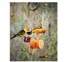 Clementine Oriole Feeder Metal Chain Hanging Bird Perch Feeding Drinking Portable Pet Supplies Garden Yard Indoor Outdoor Holder