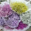 Big Bunch Baby Breath Bisth Natural Sessato Gypsophila Flower Decor Home Wedding Bouquet San Valentino Giorno Regalo Craft Paniculata Y07665255