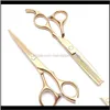 1Pcs 6 Stainless Engraving Professional Hairdressing Cutting Shears Thinning Add Bag C1005 Wjzfj Xqcp8