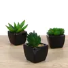 Flores decorativas grinaldas 3pcs quadrados preto cerâmica artificial suculento plantador mini plantas em vasos falsos