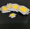 10 sztuk / partia SMD 10 W 20W 30W 50W 100W Light Bead High Power Zintegrowany Chip Lampa Lampa Lampa Koraliki COB Żarówka dla DIY Floodlight Spotlight Lights Źródło D3.0