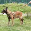 Askeri Taktik Köpek Koşum Devriye K9 Çalışma Pet Yaka Kolu Ürünleri ile Küçük Büyük Servis Yelek 211026