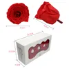 Ainyrose 4-5 CM 8 adet/kutu DIY Doğal Korunmuş Gül Ebedi Gül Kafa Kurutulmuş Çiçekler Kadınlar için Düğün Ev Dekor Hediye Sınıf B 210317