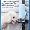 500700 ml huisdierkat en honden automatische feeder kan honden drinkwater flessen langzaam voedend water container benodigdheden 210320