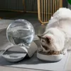 Kimpets Pet Supplies Bubble Pet Bowls Food Automatic Tomatic Fountain Water Trinking for Cat Dog Engling Container Pet Water Set 210320