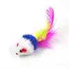 Colorido Pluma Grano Pequeño Ratón Gato Juguete Para Gato Pluma Divertido Jugar Mascota perro Gato Pequeños Animales juguetes de plumas Gatito T2I51767