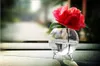 Vasi 6 pezzi Vaso di fiori in vetro trasparente con sfera Mini Vaso per terrario paesaggistico Piccolo candeliere carino 8 cm261t