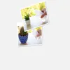 Watering Equipments 250/500ML Mini Plastic Plant Flower Watering Bottle Sprayer Curved mouth can DIY Gardening Transparent for succulent practical Convenient