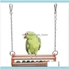 Tillbehör Hem GardenParots Leksaker och fågel Aessories för Pet Toy Swing Stand Budgie Parakeet Cage African Gray Vogel Speelgoed Parkiet Cage