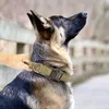 Taktisches Hundehalsband, elastische Bungee-Leine, Nylon-Haustierhundetraining für Deutschen Schäferhund