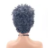 Afrikanskt litet lockigt hår europeiskt och amerikansk kvinnors peruk kort lockigt huvudkåpa mekanism kemisk fiber