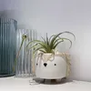 Dessins animés succulentes Pot de fleur en céramique petit Animal Mini jardin plante décoration de la maison 210615