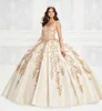 الفاخرة الأميرة فساتين quinceanera الرباط appliqued مطرز الكرة ثوب vestidos دي quincedañera الخامس الرقبة الحلو 16 اللباس