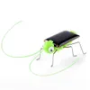 2021 drôle insecte solaire sauterelle cricket jouet éducatif cadeau d'anniversaire