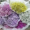 Gifts for women Big Bunch Baby Breath Natural Dried Preserved Gypsophila Flower Decor Home Wedding Bouquet Valentines Day Gift Craft Paniculata