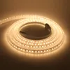 Strips 12V 24V LED Strip Waterproof IP67 2835 120LEDs/m Outdoor Lights Warm Natural Cold White Tape Flex Ribbon LampLED