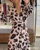 Women Dress Long Sleeve V-neck Bandage Leopard Dresses Plus Size Printing Fashion 210524