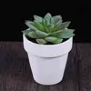 20pcs petit pot de fleur blanche plante argile céramique tery planteur cactus s succulente pépinière s avec trou (blanc) 211130