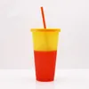 Tasses à changement de couleur gobelets avec couvercles pailles Drinkware tasse froide en plastique pour adultes enfants 16 oz tasse réutilisable HH21-320