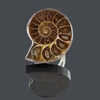 Naturliga Conchs Shells Justerbara Aura Ringar Snigelform Conch-Fossil Personlighet Fashion Ring Spotted Conch Shell Charm Reiki Heal Smycken