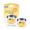 TWG Vaseline Bálsamo labial Homicitizante Base de lápiz humectante maquillaje planta natural Anticracking Lip Care Jelly8958594