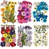 NEWSachet Bags Natural Pressed Dried Flowers Artificial Dry Plants Decorative For DIY Accessories Nail Craft Phone Case Pendant RRE11414