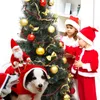 Pet Dog Odzież Christmas Costume Santa Claus Jazda Zwierzęta Koty Ubrania Produkty Plus Size