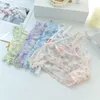 sexy underwear floral mesh