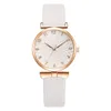 Montre Femme Montres À Quartz 39 MM Mode Casual Montre-Bracelet Femmes Montres Atmosphérique D'affaires Montre De Luxe Cadeau Color8