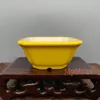 Плантаторы горшки Желтые глазурованные квадратные китайские Yixing Mame Bonsai Pot 8x8x3.5cm