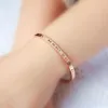 Bangle 2023 Новый стиль Silver Rose 18k Gold 316L из нержавеющей стали браслет с отверткой и оригинальными винтами с пылью никогда не теряет 69ess