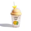 Creative Fruit Ice-deeltjes Cup Kids Waterfles Leuk Straw Type met Deksel Plastic 380ml Dubbele Muur Drinkwarenkan