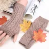 Retro Knitted Twist Fingerless Gloves Women's Stylish Hand Warmer Mittens Winter Wrist Guard Gloves