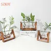 Drop Terrarium Creative Plante hydroponique Vase transparent Cadre en bois Décoration Verre Table Plante Bonsai Décor 210623