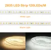 LED-strip 110v 220V 2835 120Leds / m 5m 10m 15m 20m waterdicht flexibele neonverlichting voor keukenluchttuin met schakelaar