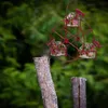 Andra fågelmaterial est pariser hjul kolibri matare kreativa fåglar matlagring verktyg för utomhus trädgård gårdsplan dekoration