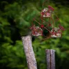 Andra fågelförsörjningar Est Ferris Wheel Hummingbird Feeder Creative Birds Food Storage Tool för utomhus trädgårdsgård dekoration4257139