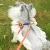 Dog Collar Leashes Enstaka försäljning Mode Färgrikt Pet Leash Rope Harness med ett mjukt Bekvämt handtagstillbehör