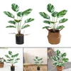 Ghirlande di fiori decorativi Plastica artificiale Arrowroot Bonsai Piante in vaso finte Real Touch Soggiorno Centrotavola per feste di nozze Decor