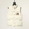 Men's down Fashion designer men's and women's winter sleeveless feathered standing down jacket