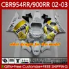 Kit de carrocería para HONDA CBR900 CBR954 RR CBR 954 900 RR CC 2002-2003 Cuerpo 61No.25 CBR954RR CBR 900RR 954RR 900CC 02 03 CBR900RR CBR954-RR 2002 2003 Carenados negro plateado