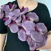 6pcs Seta Black Black Orchids Phalaenopsis Butterfly Orchid Flower Big Size teste per matrimonio fiori artificiali decorativi Q0826