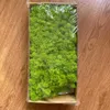 Musgo de rena preservada padrão atualizada para arranjos florais de DIY em cor verde espumoso tipo texturizado líquen - 500 gramas 210624