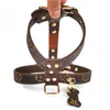 durable dog harness