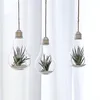 Storage Bottles & Jars 24 X D8*13cm Hanging Terrarium Flower Plant Glass Vase Light Bulb Shape Home Wedding Decor