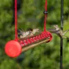 Other Bird Supplies Courtyard Hummingbird Feeder With Bright Red Transparent Tube Easy To Clean Outdoors Watching Accessories