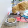 Cat Bowls Feeders Zhexagonale schuine kom Pet Verstelbare enkele dubbele automatische voederhonden Voedselbassin Waterfles 2840688