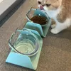 猫のボウル15度傾斜透明なペットフィーダー料理猫のための小さな犬のボウルズフィーダー