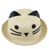 gato chapéu de palha